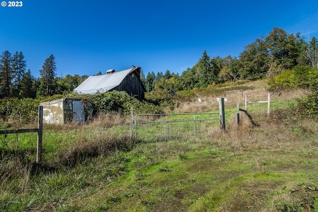 view of yard featuring a shed