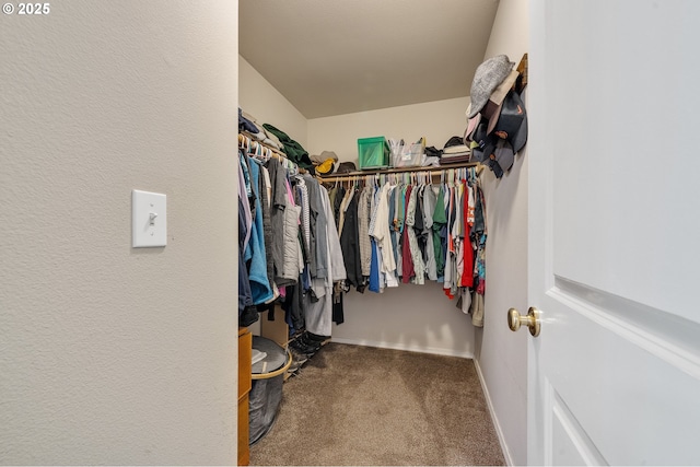 38225 Hiagua Ln N, Nehalem, OR 97131 - spacious closet with carpet flooring
