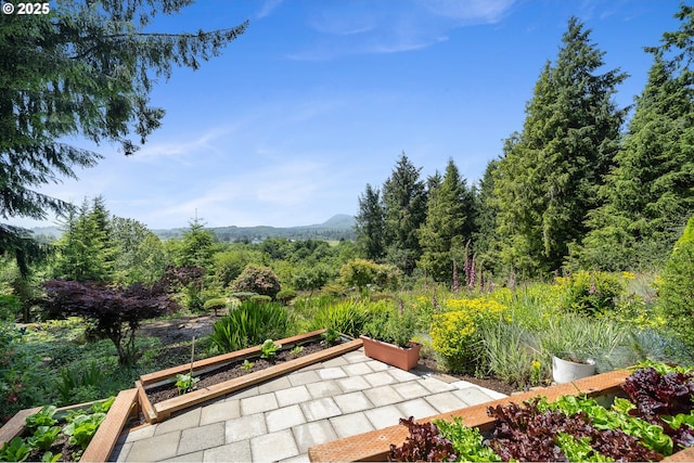 38225 Hiagua Ln N, Nehalem, OR 97131 - view of patio featuring a mountain view and a wooded view