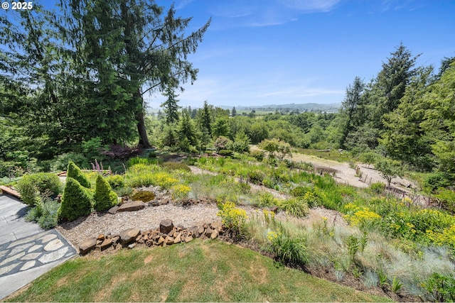 38225 Hiagua Ln N, Nehalem, OR 97131 - view of yard
