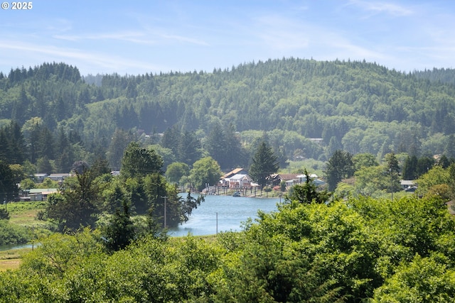 38225 Hiagua Ln N, Nehalem, OR 97131 - water view featuring a forest