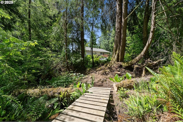 38225 Hiagua Ln N, Nehalem, OR 97131 - view of yard