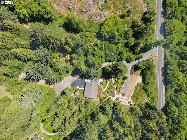 38225 Hiagua Ln N, Nehalem, OR 97131 - aerial view of property's location