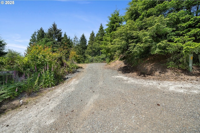 38225 Hiagua Ln N, Nehalem, OR 97131 - view of dirt / gravel road