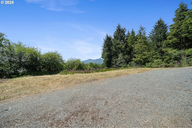 38225 Hiagua Ln N, Nehalem, OR 97131 - view of street featuring a mountain view