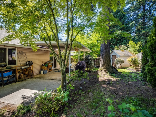 view of yard with a storage shed, an outdoor structure, a patio area, driveway, and a fenced backyard