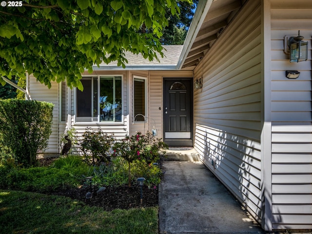 view of exterior entry featuring a shingled roof