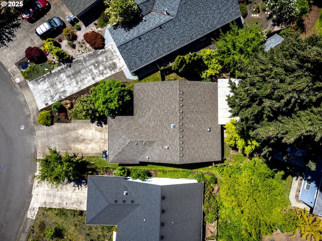 bird's eye view