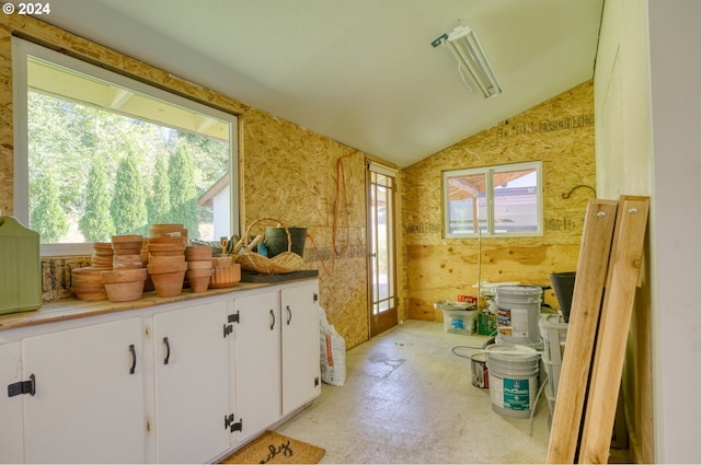 misc room with plenty of natural light and vaulted ceiling