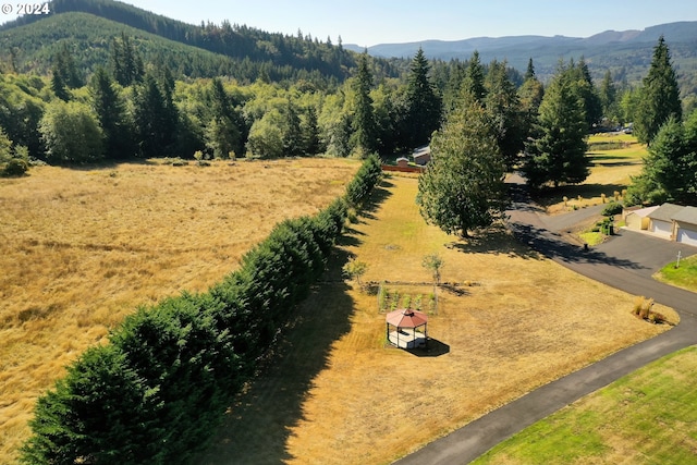 aerial view with a mountain view