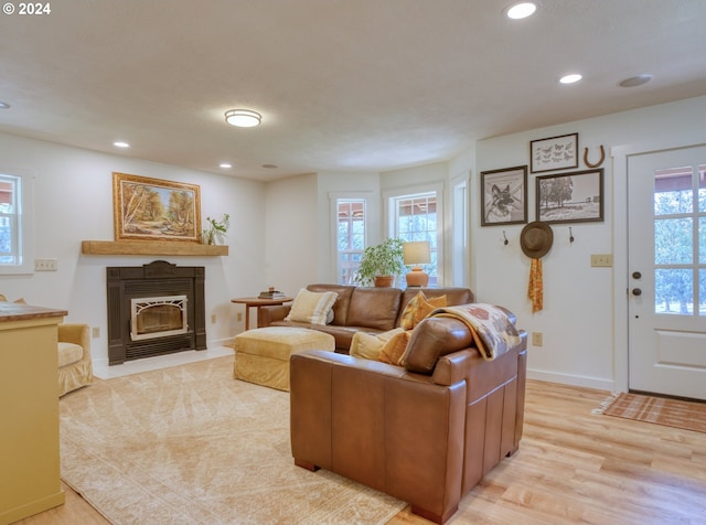 living room with a fireplace and light wood-type flooring