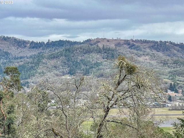 Listing photo 3 for 1291 Sweetbrier Ave, Roseburg OR 97471