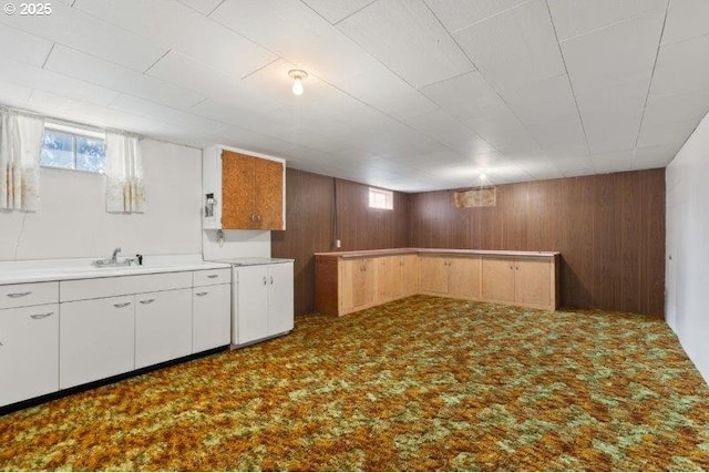 2107 Cove Ave, La Grande, OR 97850 - below grade area featuring wooden walls and carpet floors