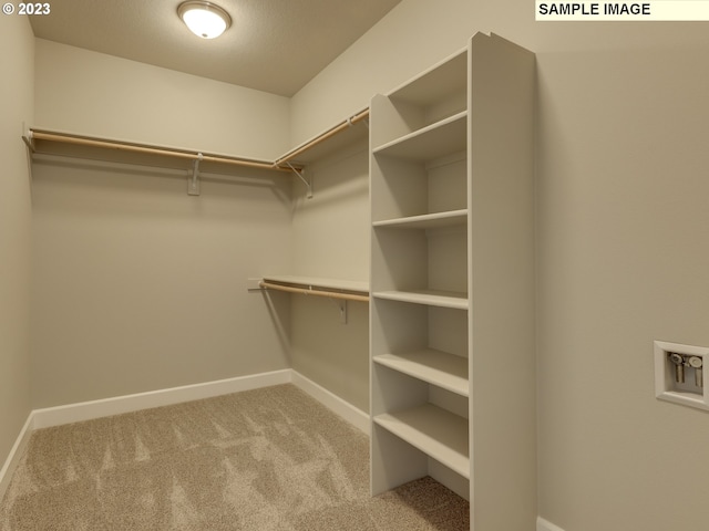 spacious closet featuring carpet