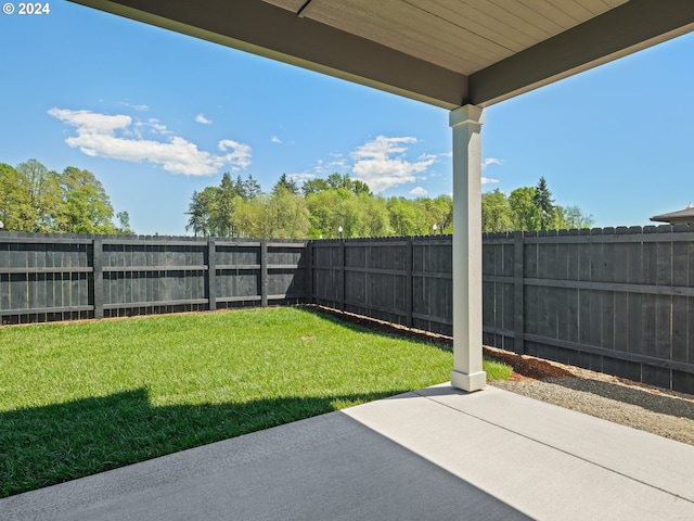 view of yard featuring a patio