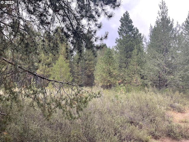 Mountain Lakes Dr Unit 5, Klamath Falls OR, 97601 land for sale