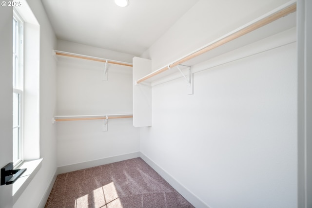 902 E 30th St, Vancouver, WA 98663 - walk in closet featuring carpet flooring
