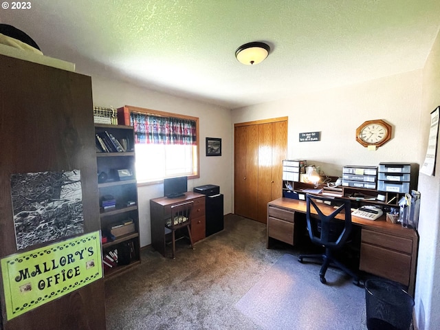 office with a textured ceiling