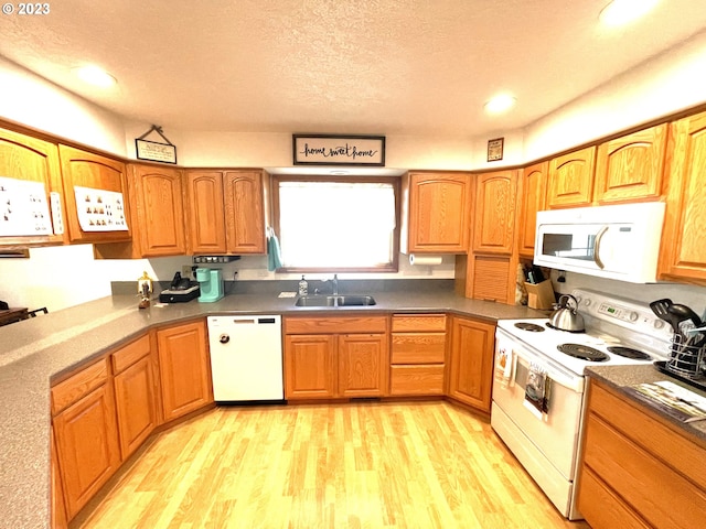 kitchen featuring light hardwood / wood-style flooring, white appliances, a textured ceiling, and sink