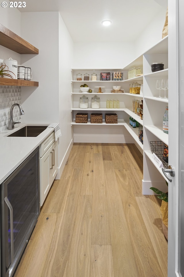 pantry with sink