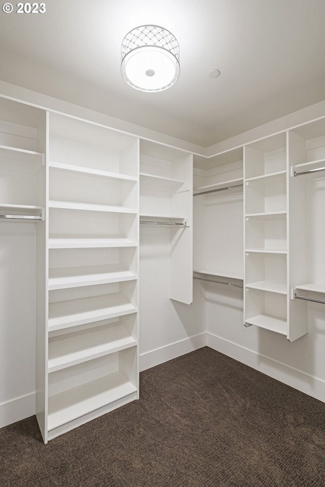 spacious closet featuring dark carpet