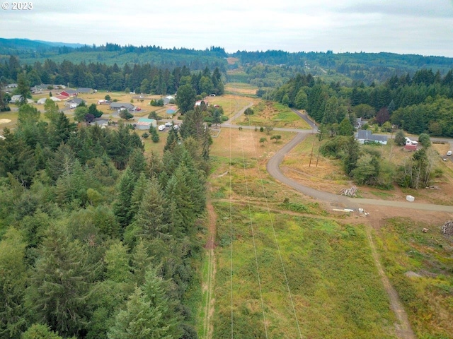 48036 Greenlight Ln, Astoria, OR 97103