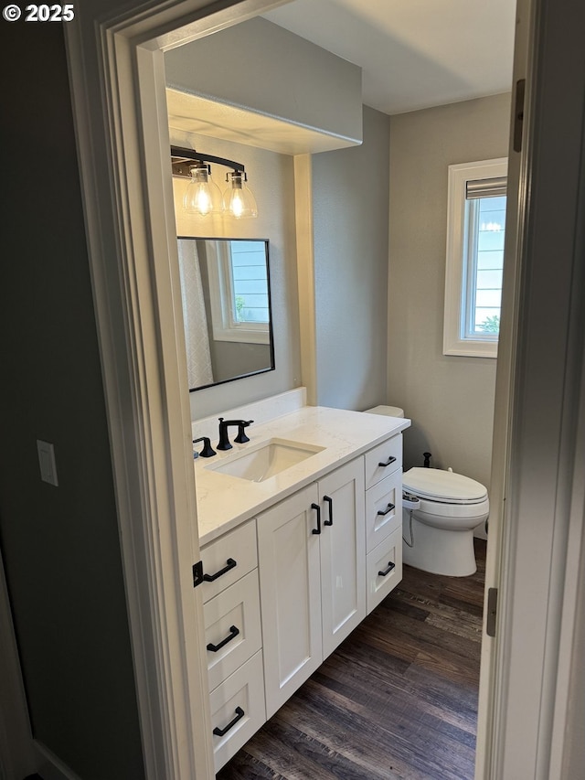 1427 SE 109th Ave, Portland, OR 97216 - bathroom featuring vanity, toilet, and wood finished floors
