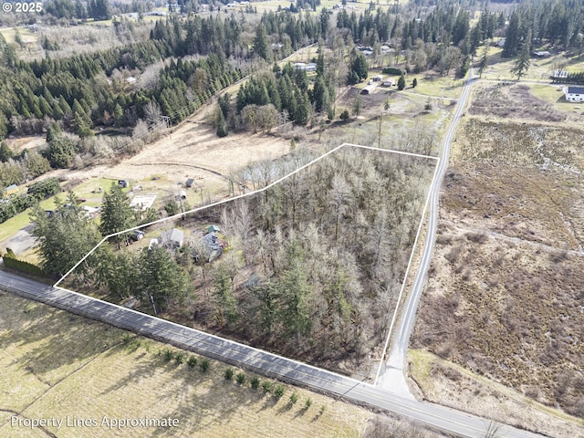 11215 NE 359th St, La Center, WA 98629 - aerial view of property's location featuring property parcel outlined and rural landscape
