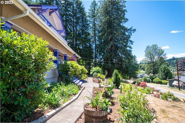 view of yard featuring a garage