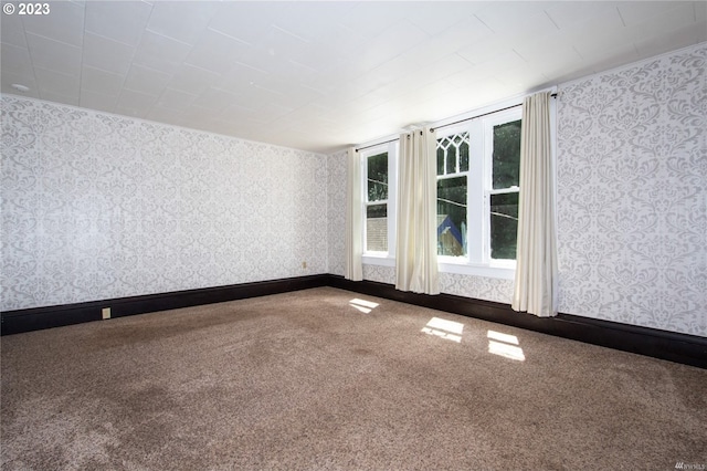 spare room featuring carpet floors