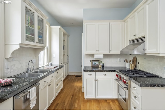2147 NE 14th Ave, Portland, OR 97212 - kitchen with stainless steel appliances, under cabinet range hood, a sink, light wood finished floors, and backsplash