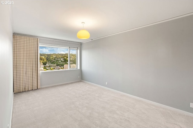 carpeted empty room featuring crown molding