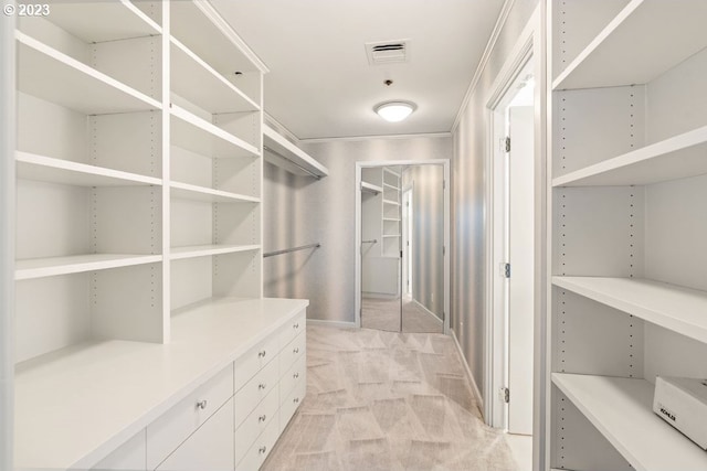 walk in closet with light carpet