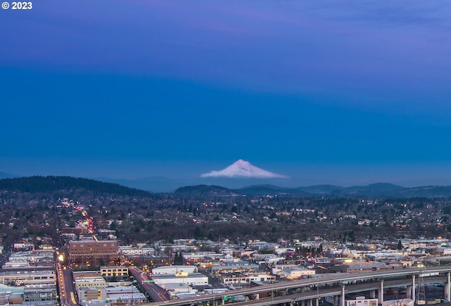 property's view of city featuring a mountain view