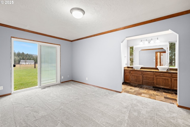 unfurnished bedroom featuring crown molding, light colored carpet, a textured ceiling, and access to outside