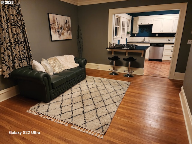 sitting room with crown molding, sink, and light hardwood / wood-style flooring