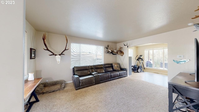 living room with a textured ceiling and light colored carpet