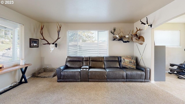 living room with light colored carpet