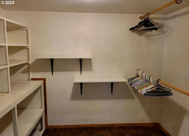 spacious closet with carpet flooring