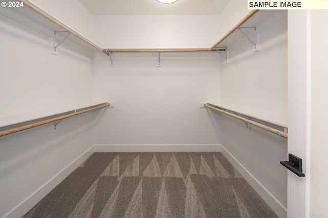 walk in closet featuring carpet flooring