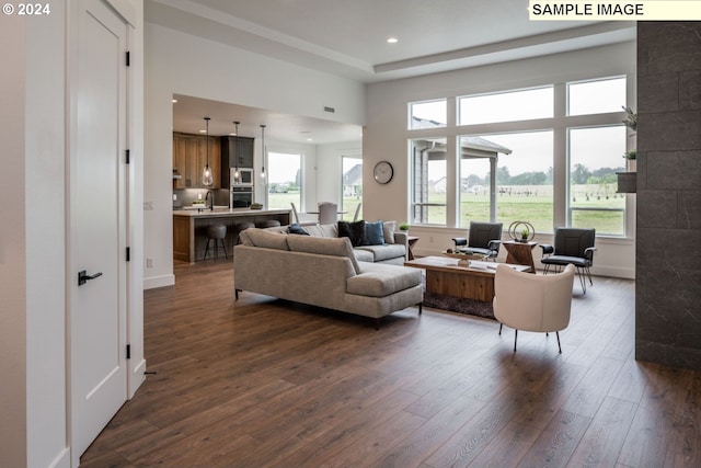 living room with sink, a wealth of natural light, and dark hardwood / wood-style flooring