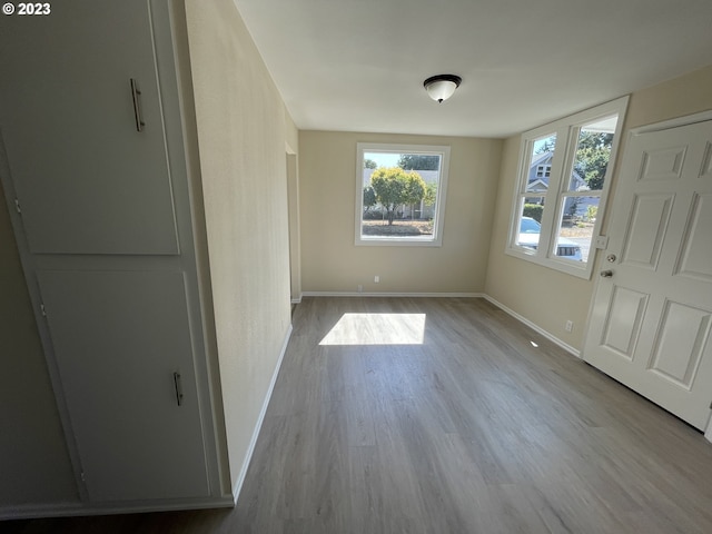 unfurnished room featuring a wealth of natural light and light wood-type flooring