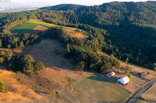 view of drone / aerial view