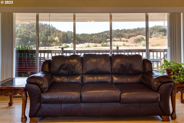 living room with light hardwood / wood-style floors