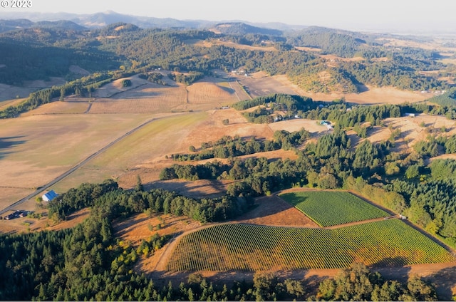 drone / aerial view with a rural view