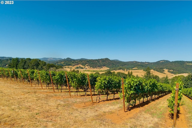 view of mountain feature featuring a rural view