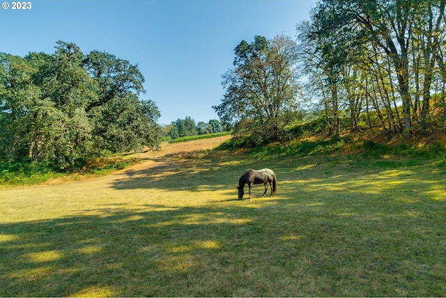 view of nearby features with a lawn