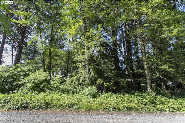 Listing photo 3 for Ross Ln, Cannon Beach OR 97110