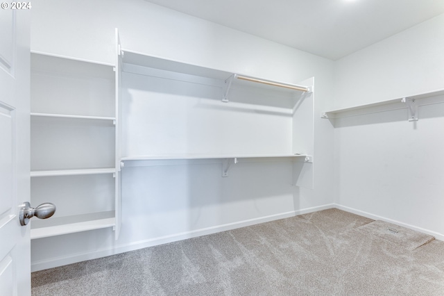 walk in closet featuring carpet flooring