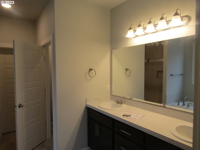 bathroom featuring vanity and separate shower and tub